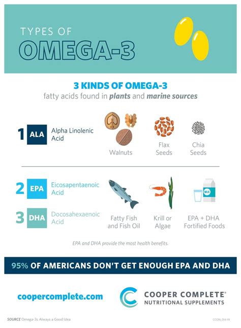 omega 3 fats explained.